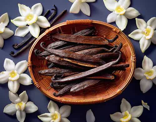Vainilla