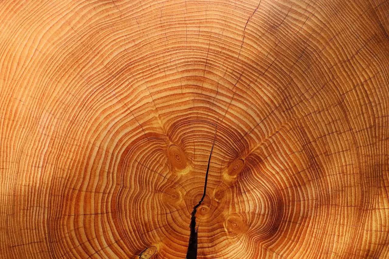 Madera
