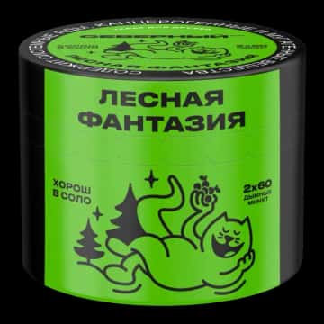 Forest Fantasy Hero