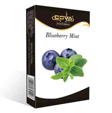 Blueberry Mint Hero