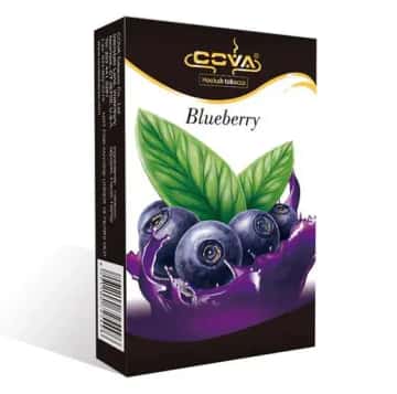 Blueberry Hero
