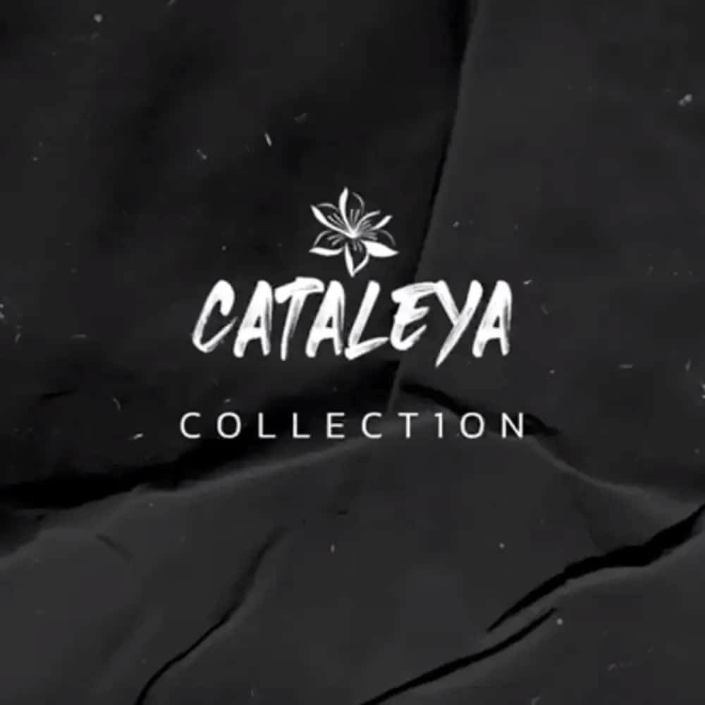 Shisha Tabak von Samra Cataleya