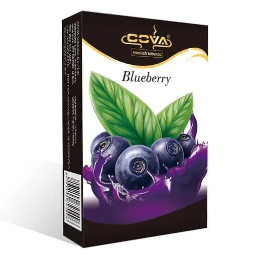 Blueberry Hero