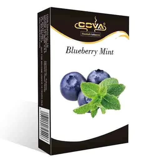 Blueberry Mint Hero