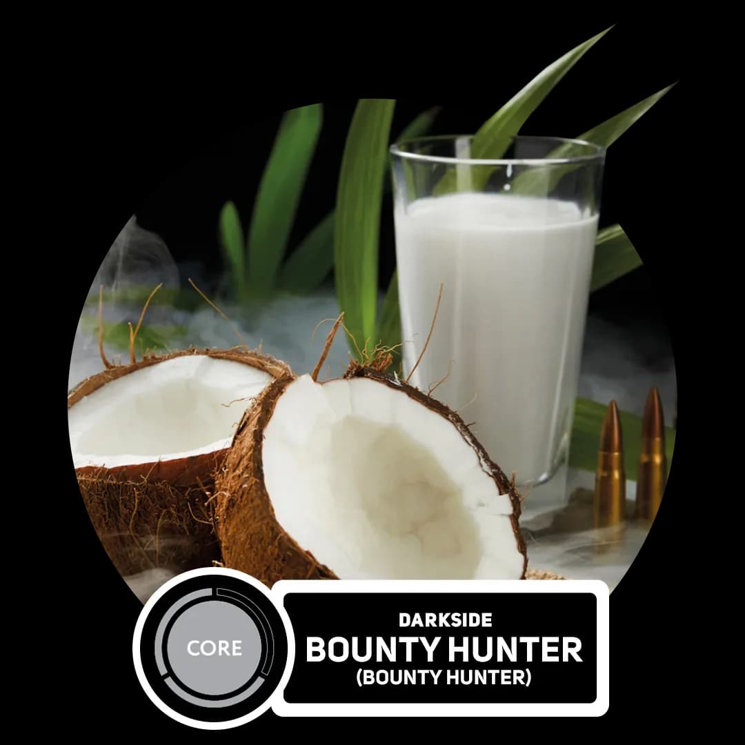 Bounty Hunter Hero