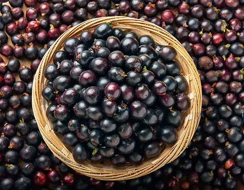 Sabor: Açaí