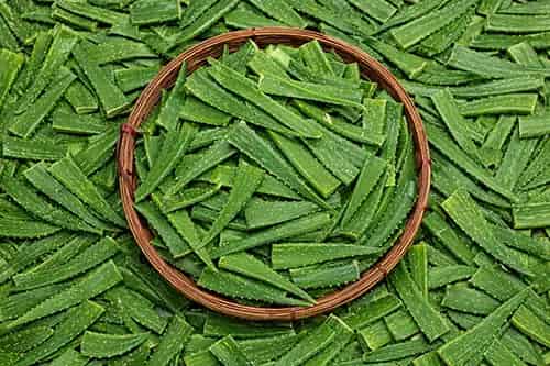 Aloe β Shisha tobacco flavor