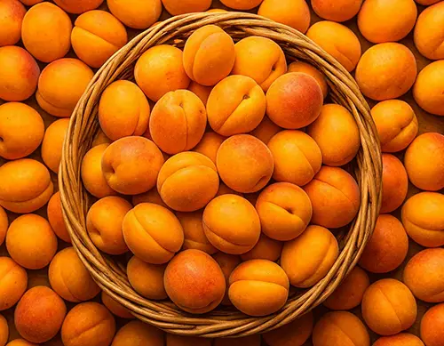 Apricot
