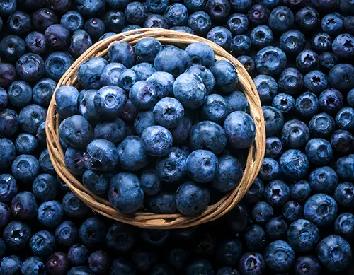 Geschmack: Blaubeere