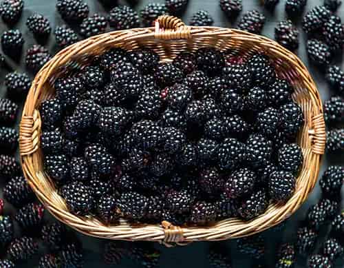 Blackberry β Shisha tobacco flavor