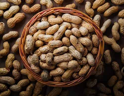 Peanut β Shisha tobacco flavor