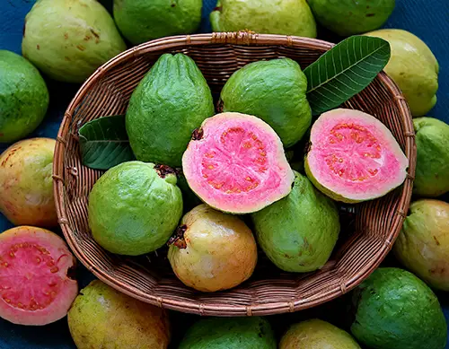 Guayaba