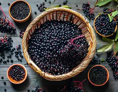 Elderberry β Shisha tobacco flavor