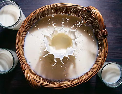 Milch