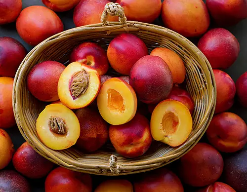 Flavor: Nectarine