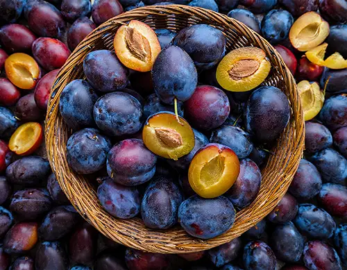 Flavor: Plum