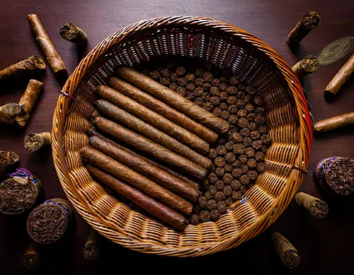 Cigar