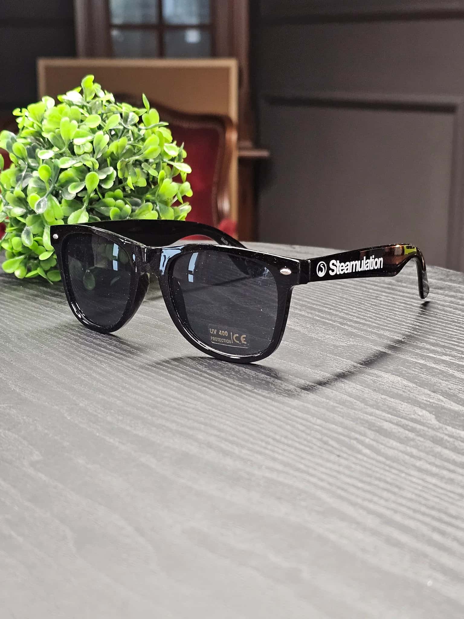 Gafas de sol Steamulation
