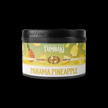 Panama Pineapple Hero
