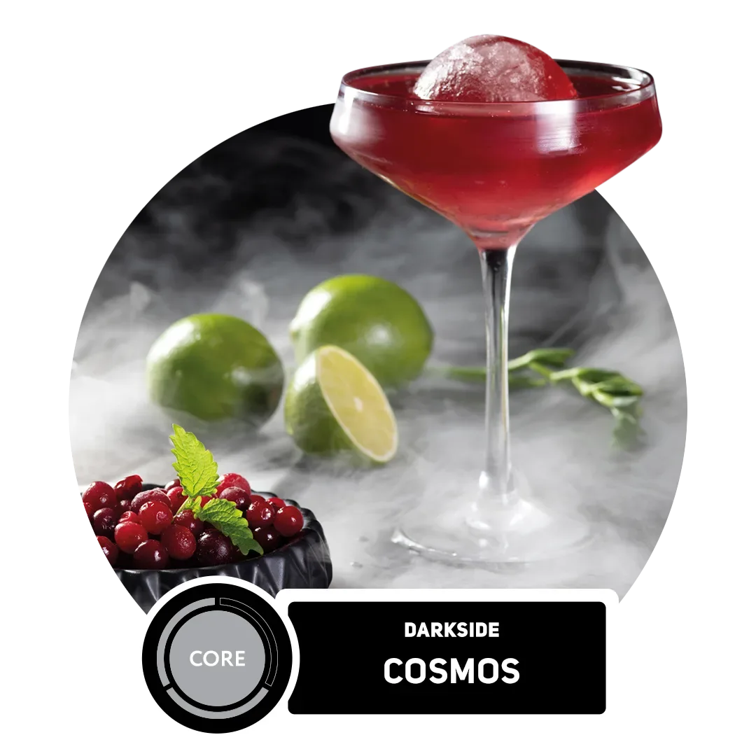 Cosmos Hero