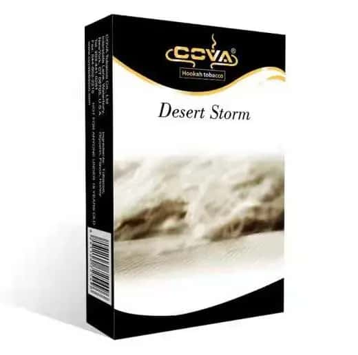 Desert Storm Hero