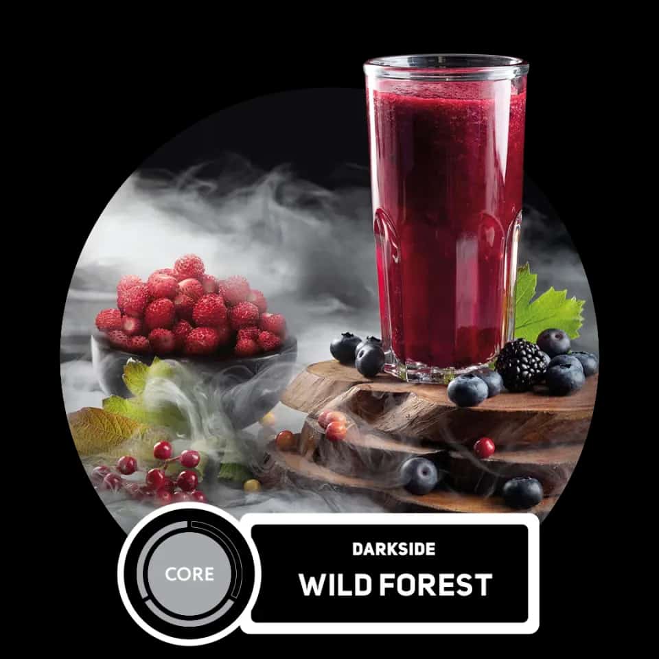 Wild Forest Hero