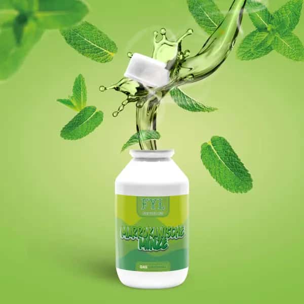 Marokkanische Minze Hero