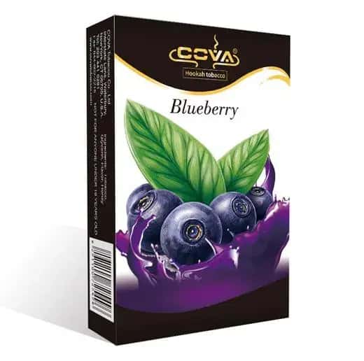 Blueberry Hero