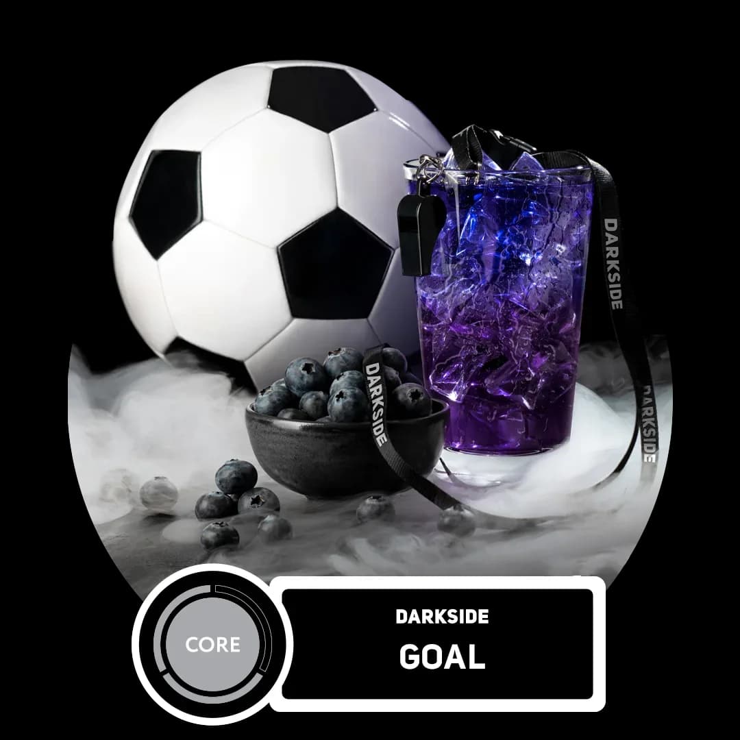 Goal Hero