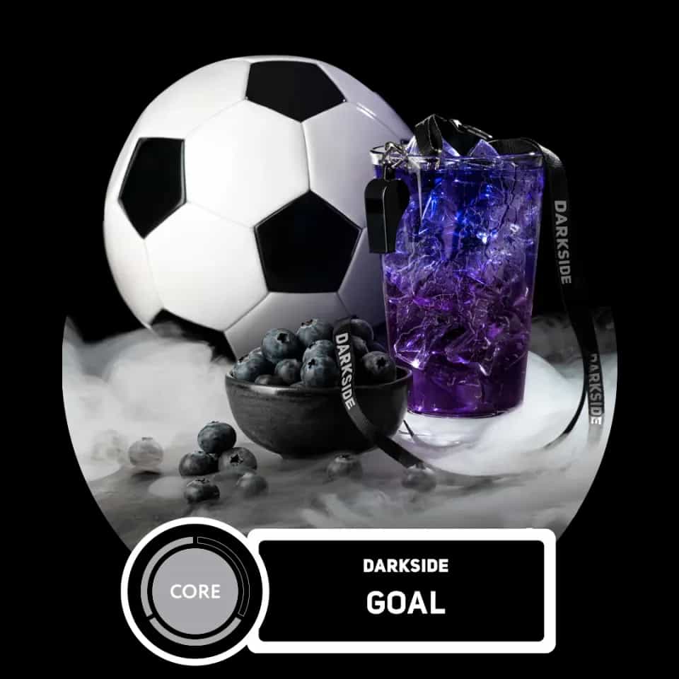 Goal Hero