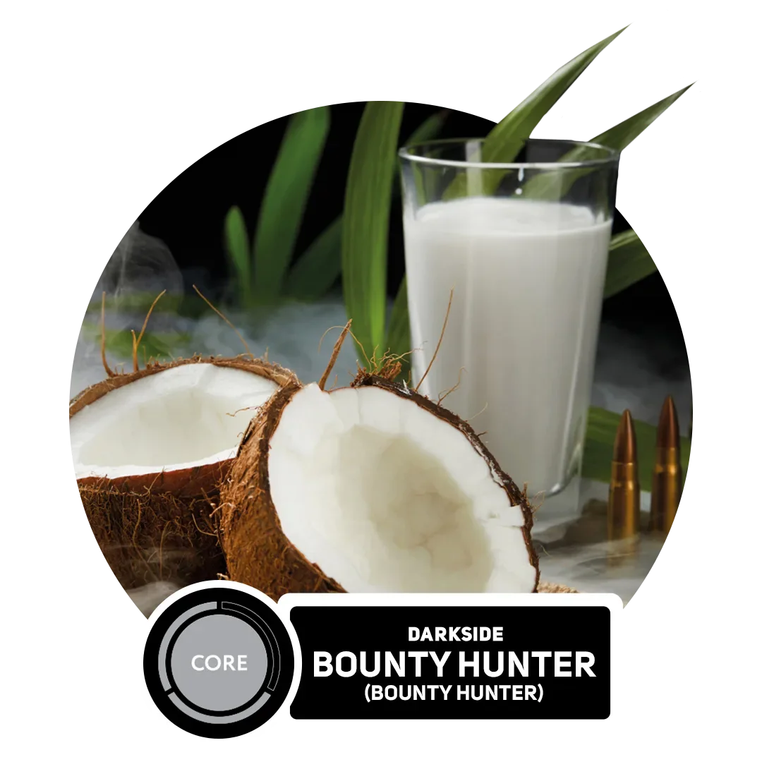 Bounty Hunter Hero