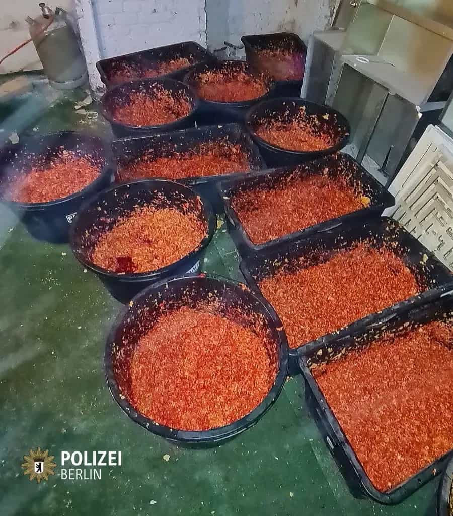 Illegaler Shisha Tabak unter katastrophalen hygienischen Umständen gemixt