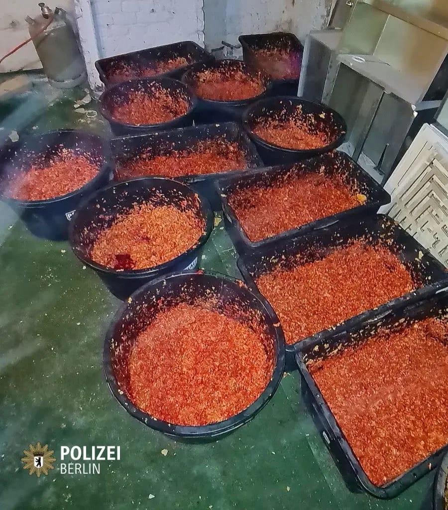 Illegaler Shisha Tabak unter katastrophalen hygienischen Umständen gemixt