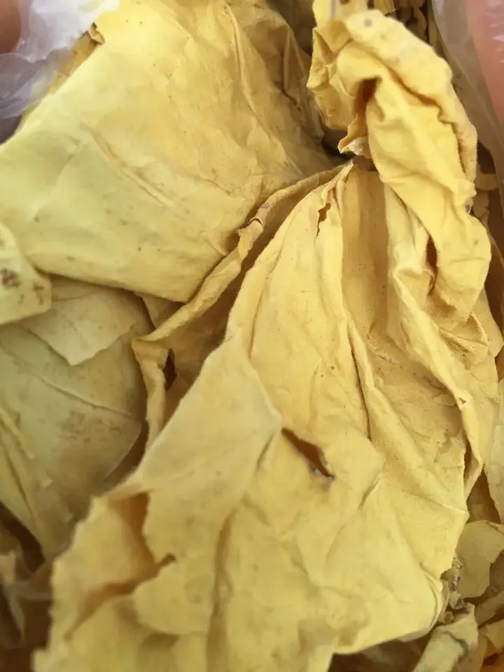 Neue Tabakmarke vom Hersteller von Freestyle