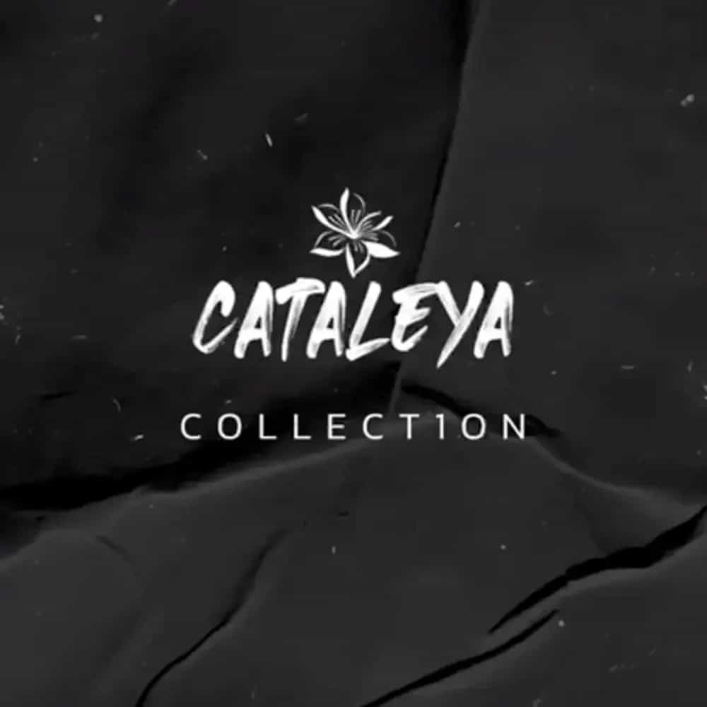 Shisha Tabak von Samra Cataleya