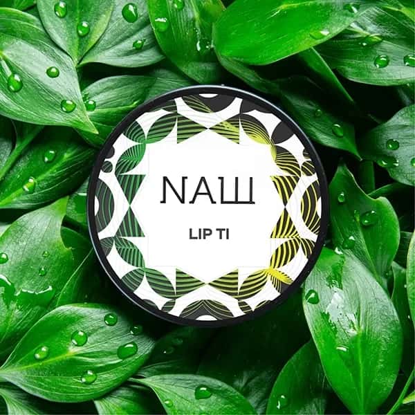 Nash bringt neue Flavor!