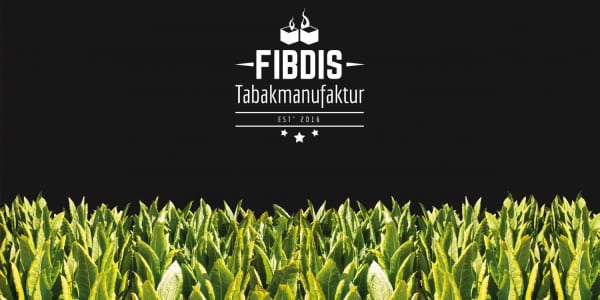 Fibdis Logo