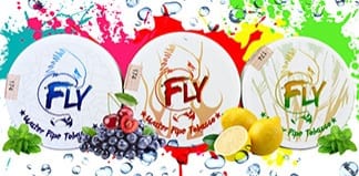 Fly Logo
