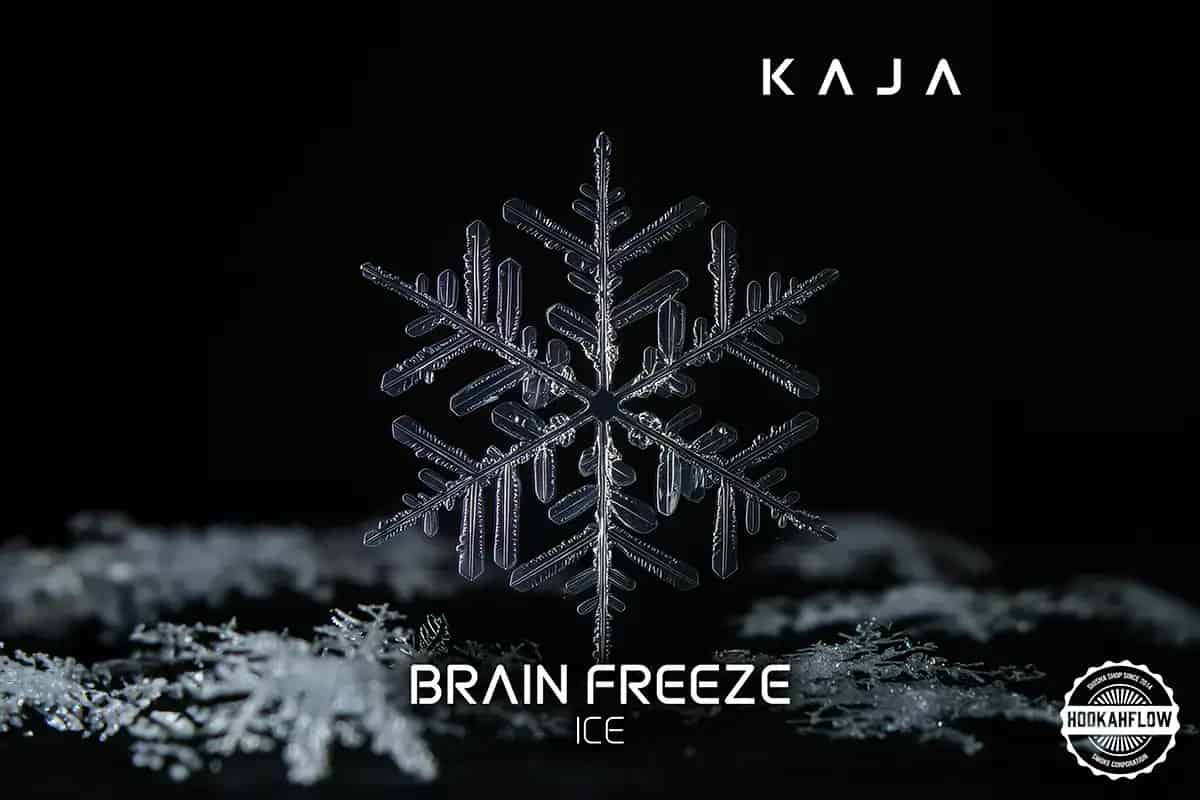 Brain Freeze Asset