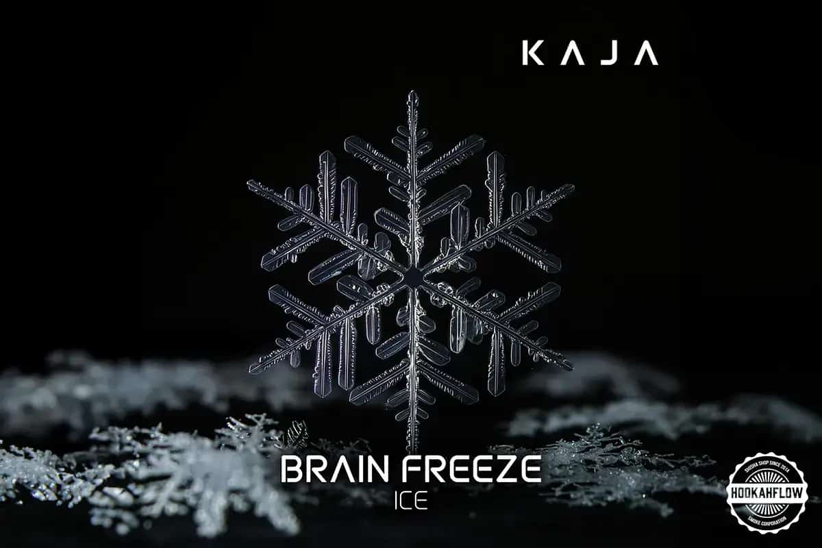 Brain Freeze Asset