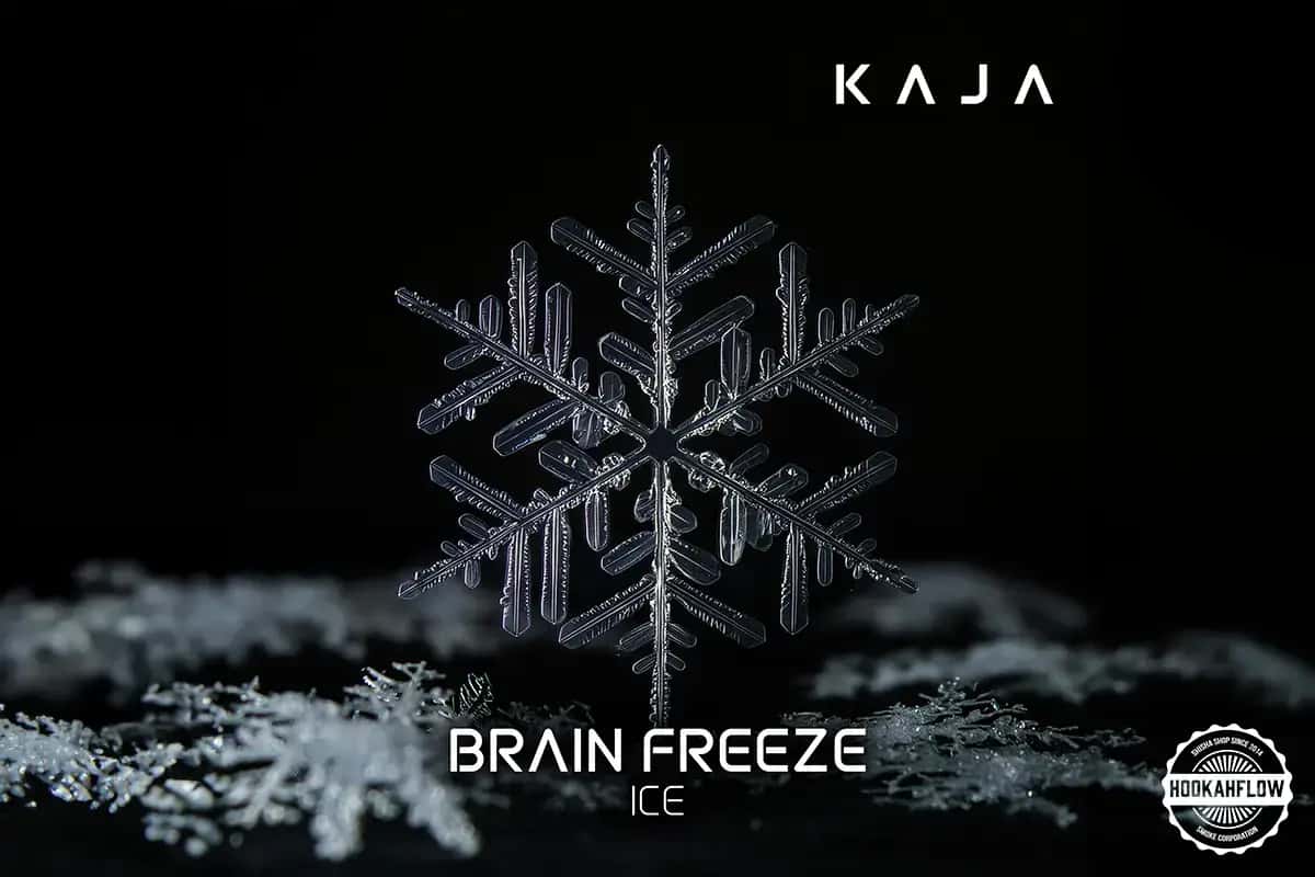 Brain Freeze Asset